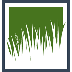 Fescue Lawn Installation Pros
