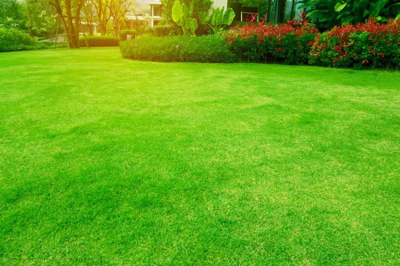 Fescue Lawn Installation