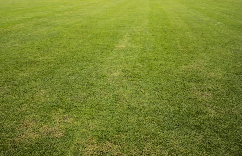 Fescue Lawn Installation
