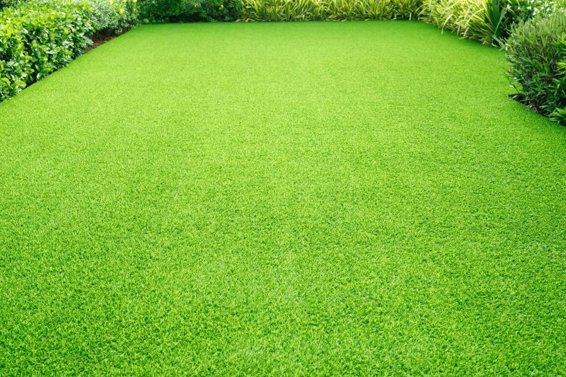 Fescue Lawn Installation