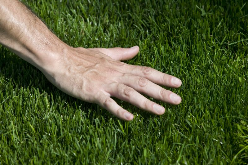 Fescue Lawn Installation