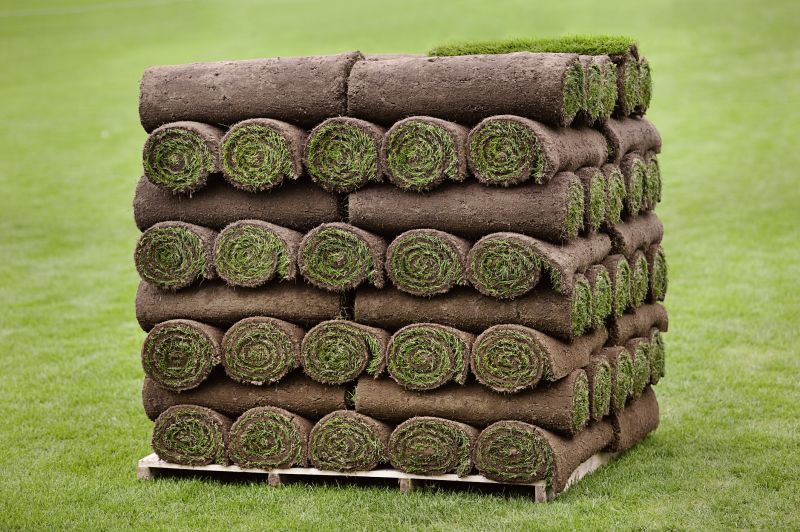 Sod Rolling Process